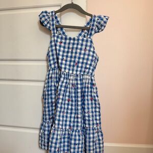 Cat & Jack Blue Gingham Dress with Red Floral Embroidery